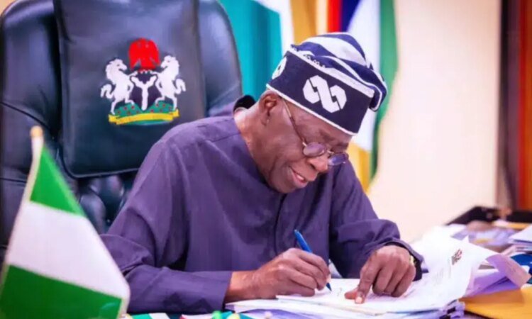 Tinubu playing games, can’t fix Nigeria without dismantling 1999 constitution – PDP’s Adetokunbo 